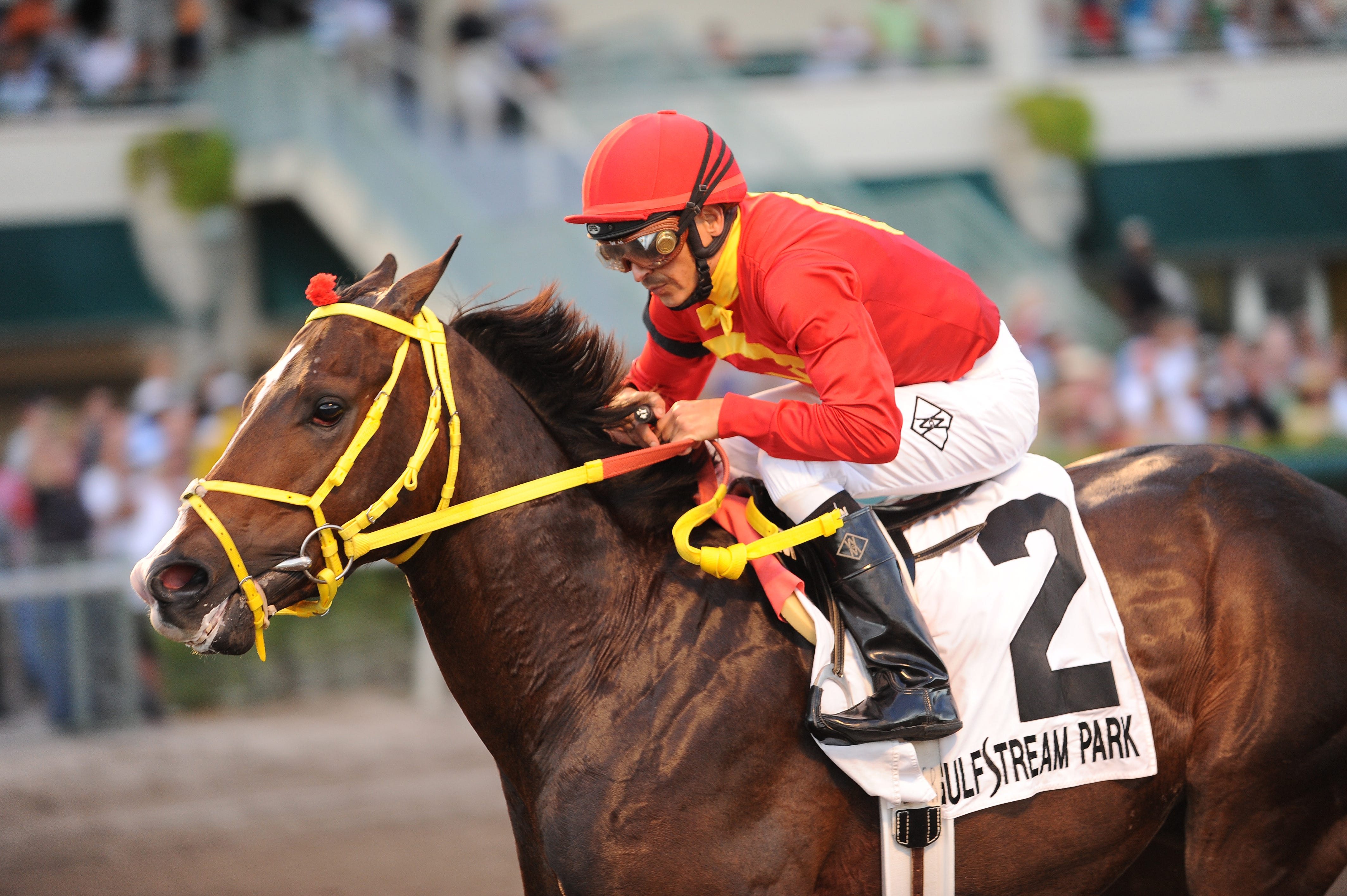 2012 Kentucky Derby Trinniberg in, Reveron injured and out