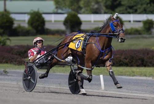 Saratoga Harness: Twin B Joe Fresh Swiftest In NY Sire Stakes