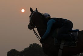 Finger Lakes, Delaware Park cancel racing over air quality