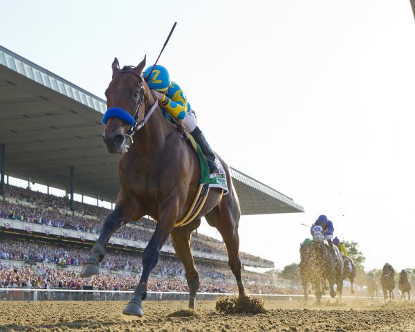 American Pharoah wins Belmont Stakes to become horse racing's first Triple  Crown winner since Affirmed in 1978 – New York Daily News