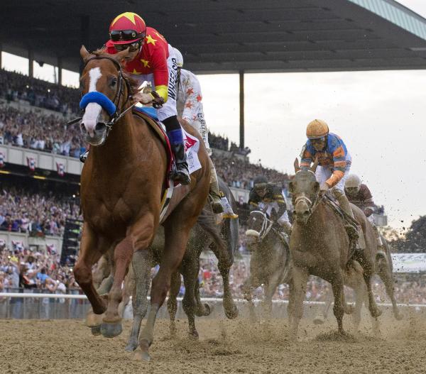 American Pharoah Wins Preakness In Downpour - CBS Baltimore