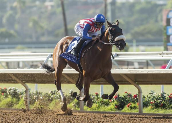 Bellafina a maybe for Del Mar Debutante