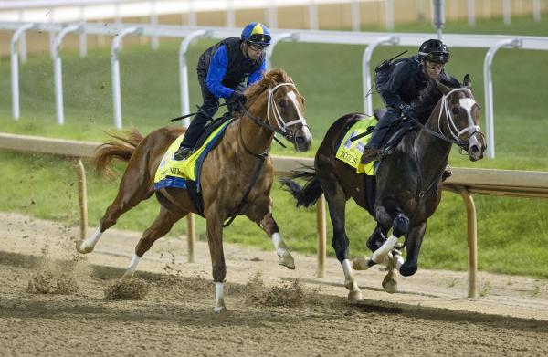 Kentucky Derby: Cyberknife gives owner Al Gold his long-awaited big horse