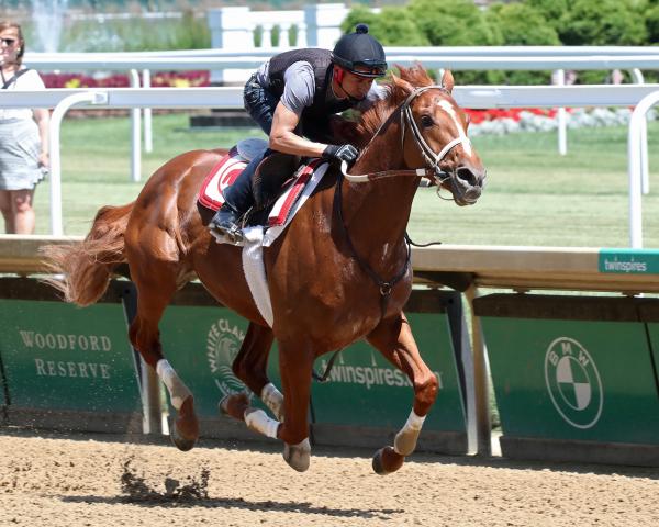 Ride on Curlin trainer likes chances in Belmont Stake's long stretch – New  York Daily News