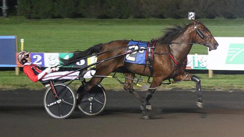 Harness: 2022 Standardbred Horse Sale Wraps Up