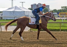 Lo Duca: My Card for the Preakness Stakes