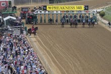 Lo Duca: My Card for the Preakness Stakes