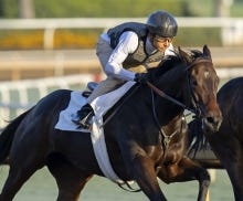 Breeders' Cup Juvenile Fillies 2023 Race