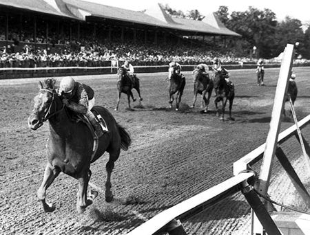 Affirmed and Alydar's Travers showdown still rouses emotions | Daily ...