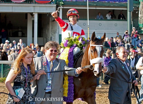 The 2011 Breeders' Cup - a photo album | Daily Racing Form