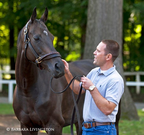 Brown's Beauties | Daily Racing Form